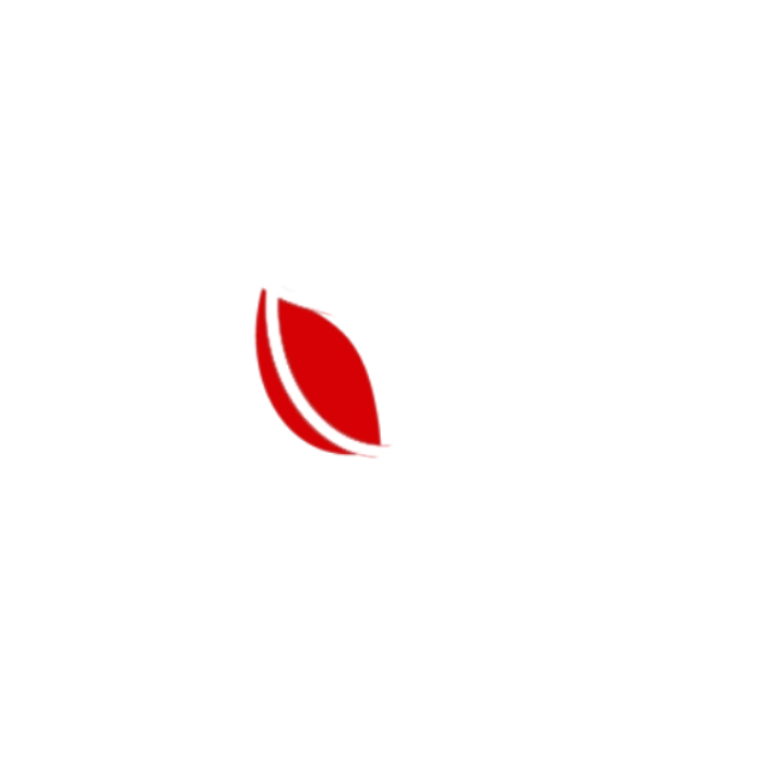 Logo Mundiflowers