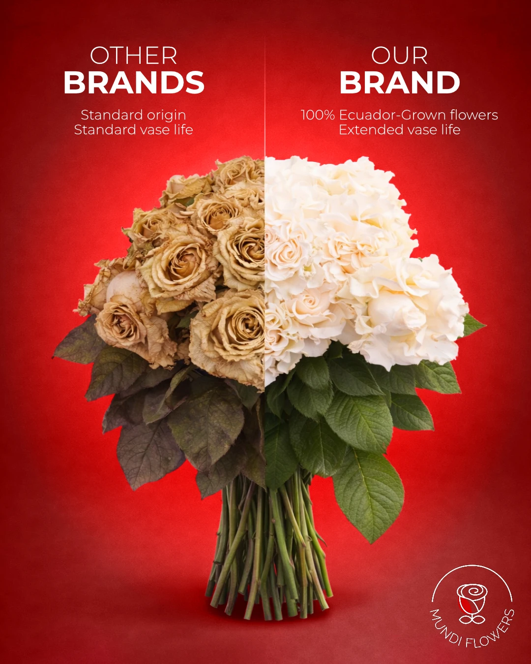 Diferencias de marcas